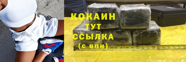 прущий лед Горняк