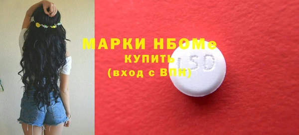 тгк Горнозаводск