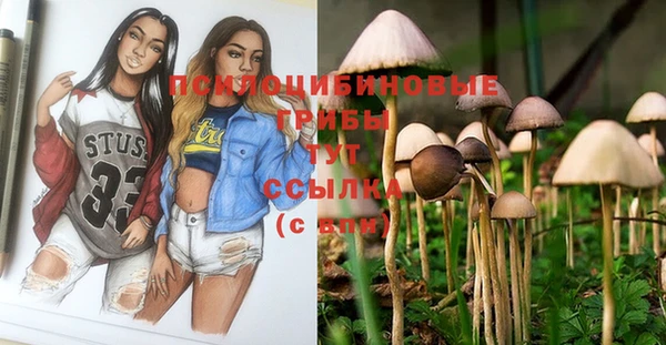 прущий лед Горняк