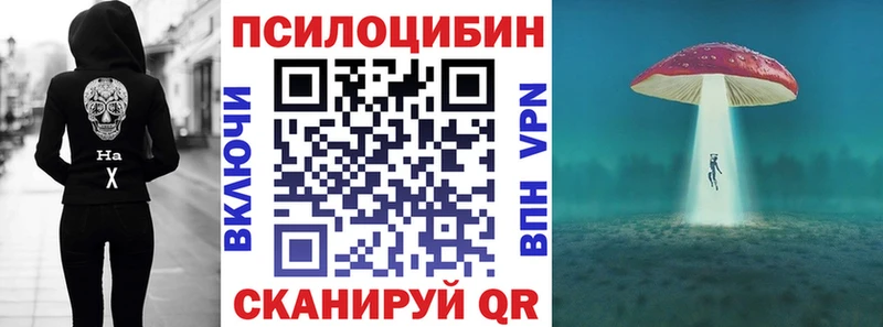 купить наркоту  Иваново  Псилоцибиновые грибы прущие грибы 